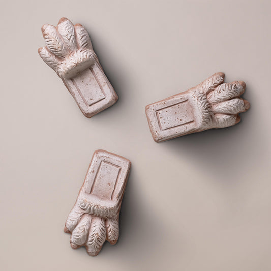 Bergs Potter Lion Paw RAW Rosa