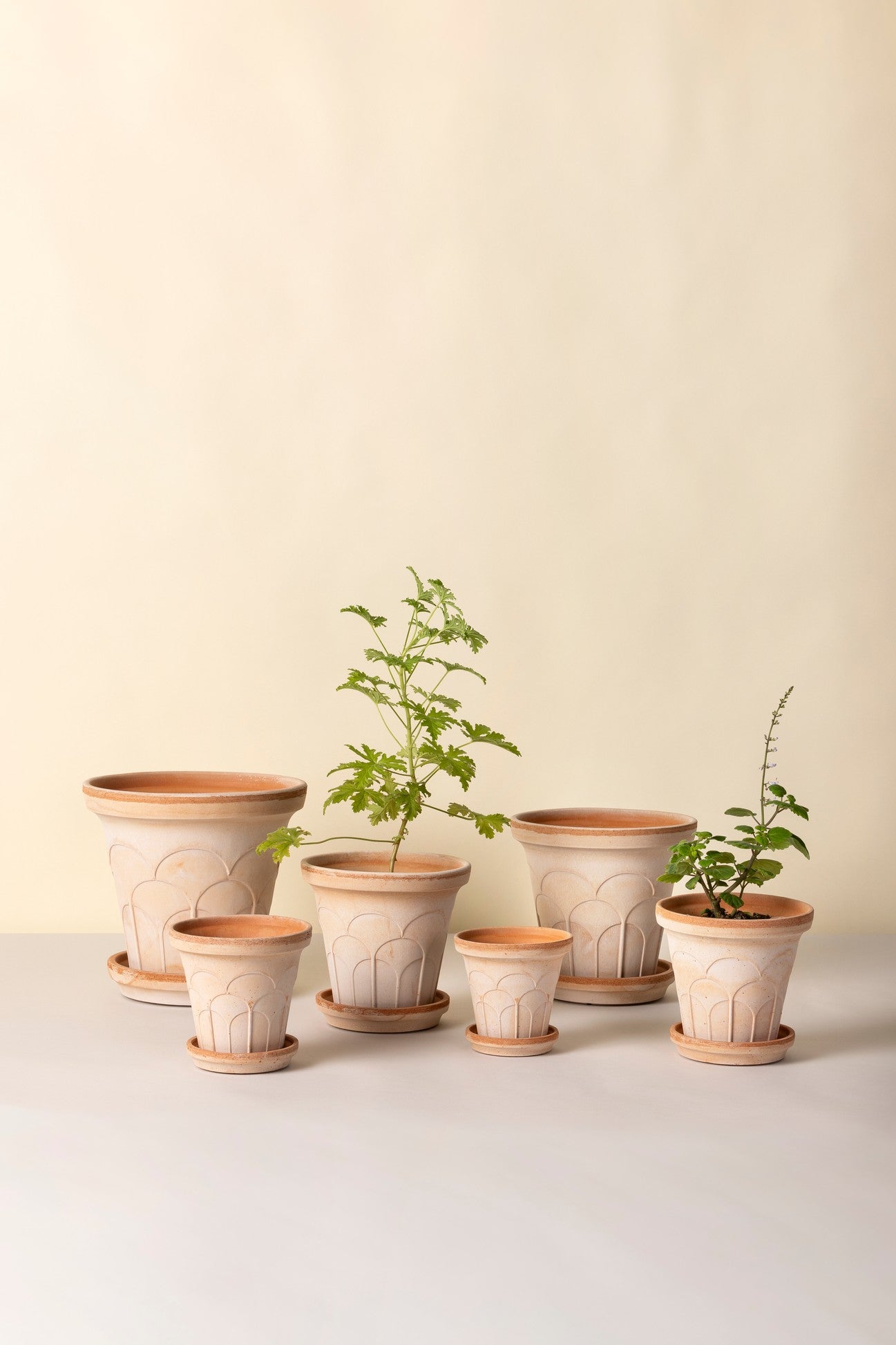 Bergs Potter Fleur Pot + saucer