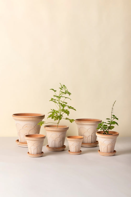 Bergs Potter Fleur Pot + saucer