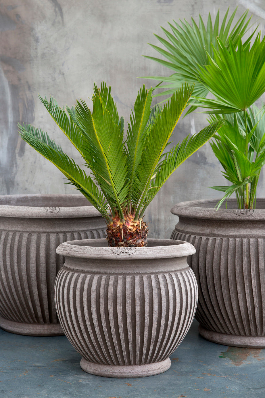 Bergs Potter Piccolina RAW Grey 30cm Pot