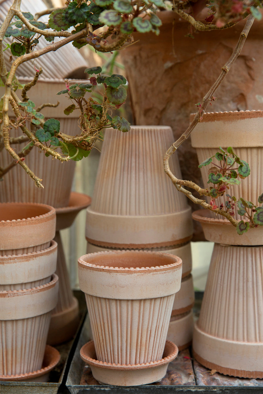 Bergs Potter Simona RAW Rosa 14cm Pot