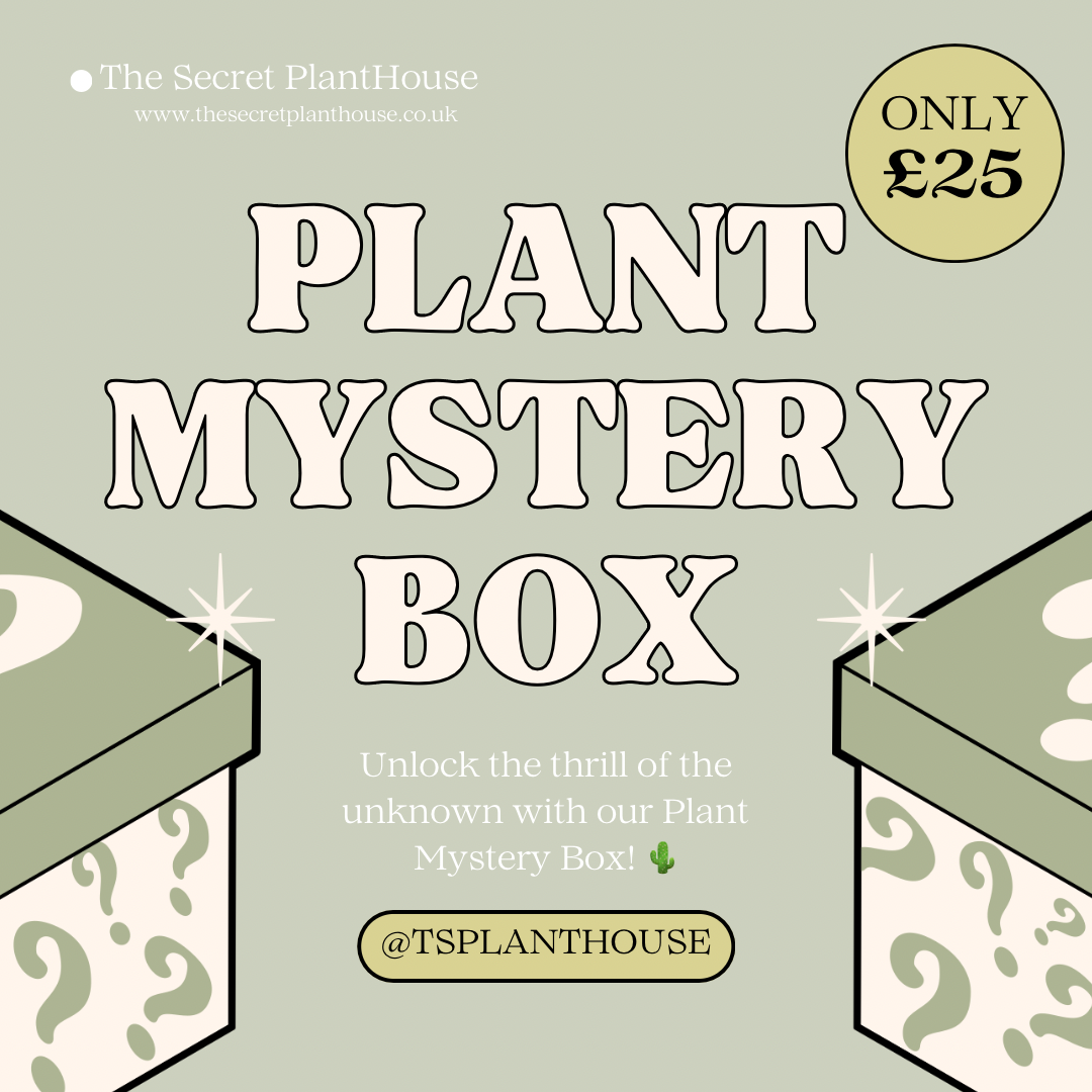 Plant Mystery Box