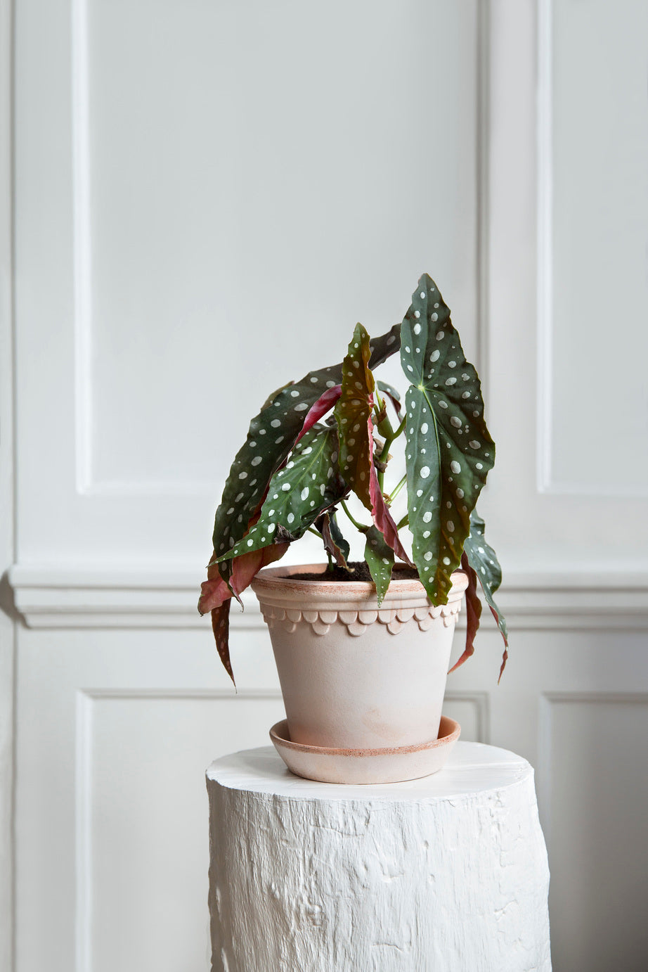 Bergs Potter Københavner RAW Rosa 10cm Pot