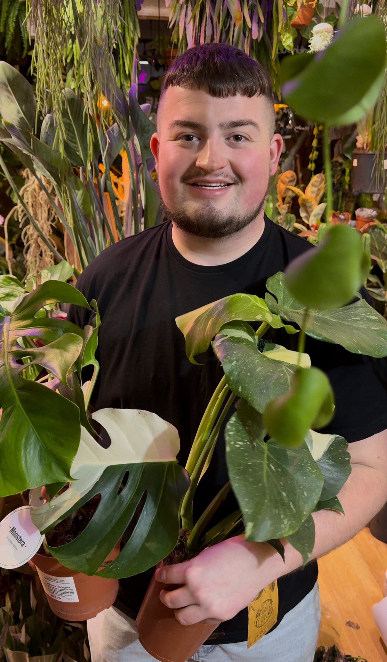 Monstera Thai & Albo Bundle Deal