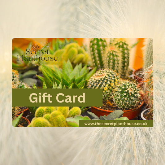 The Secret PlantHouse Gift Card