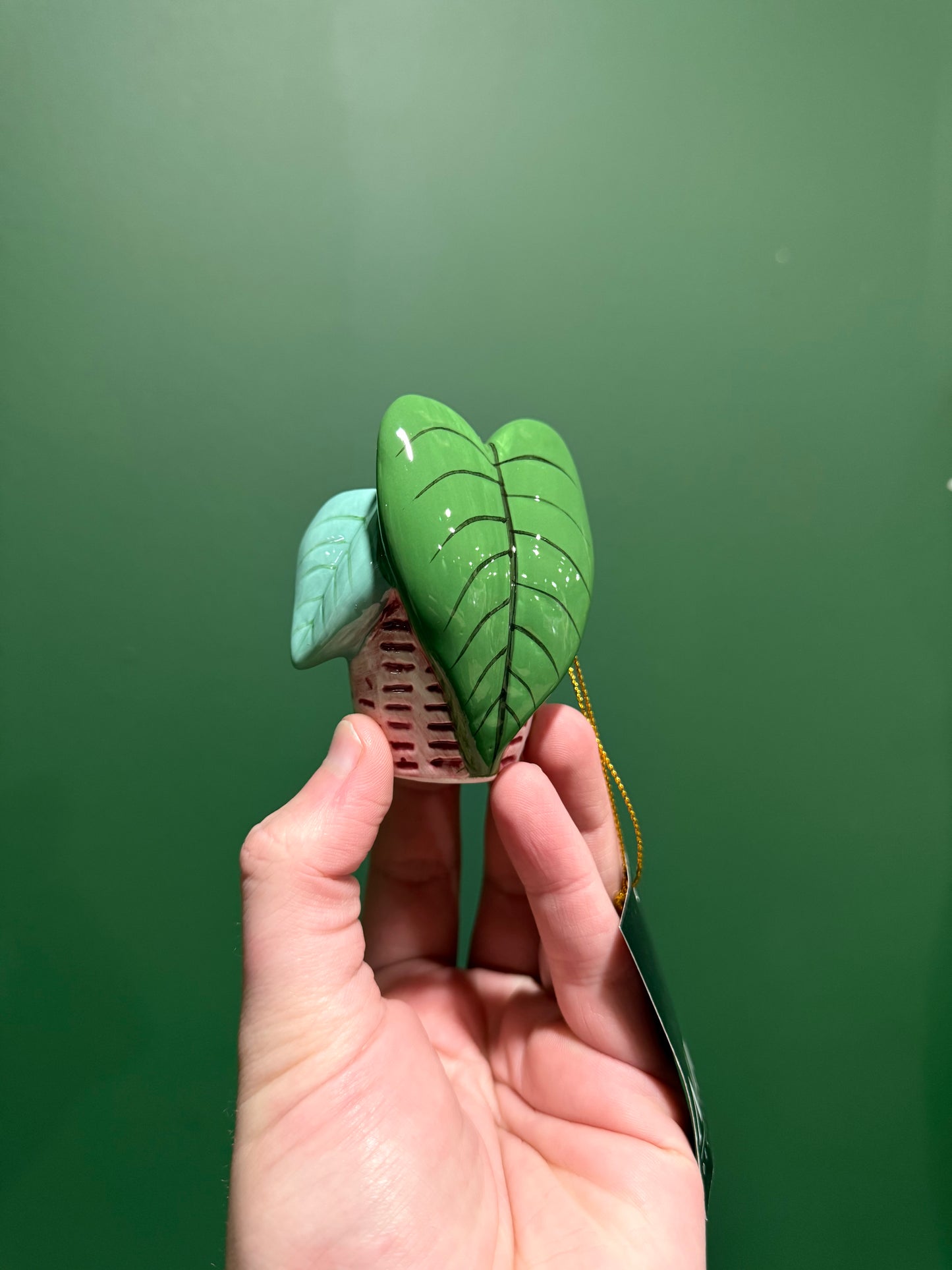 Houseplant Christmas Bauble