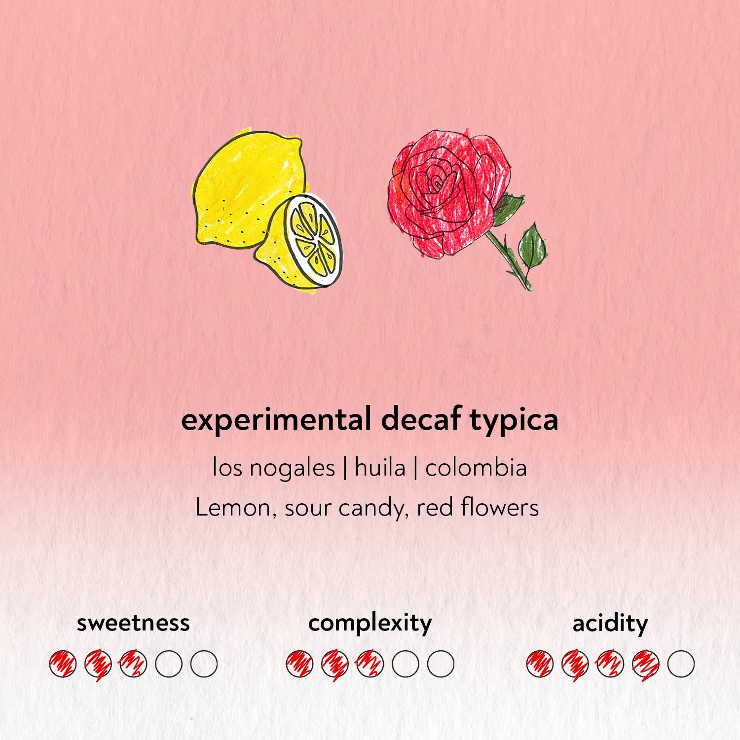Sandbox - Experimental Decaf Typica
Finca Los Nogales