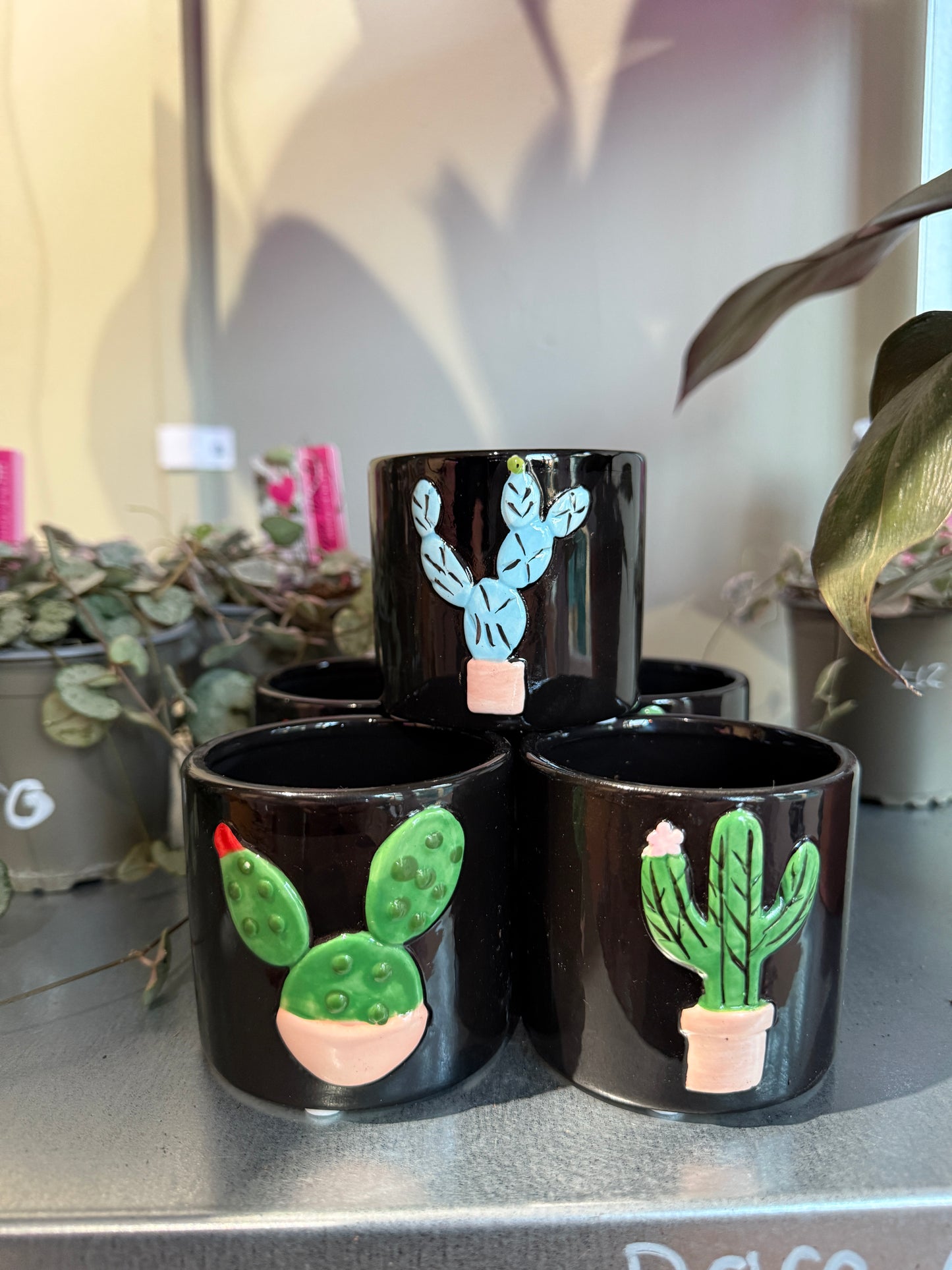 Cacti Design Pots