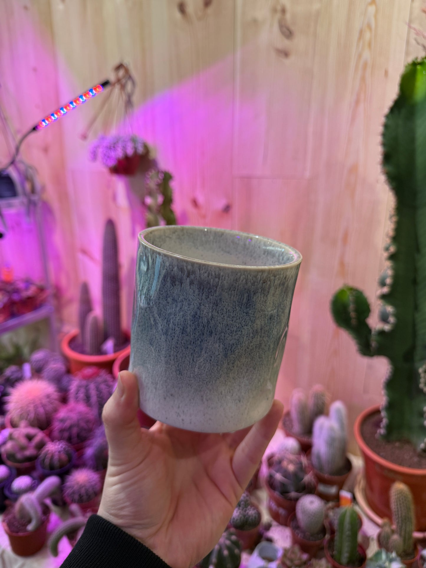 Cerulean Cloud Pot