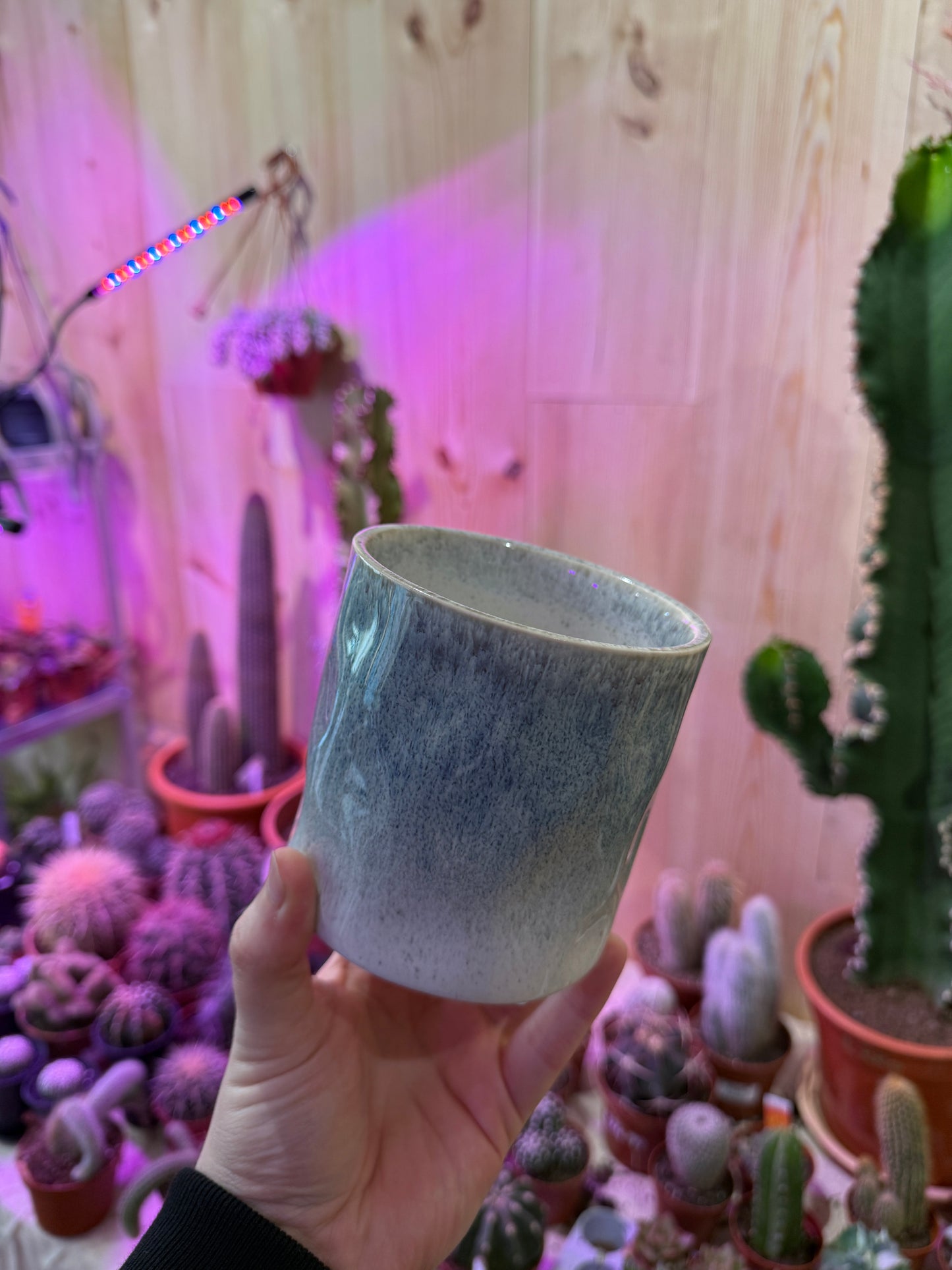 Cerulean Cloud Pot