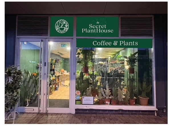Llanelli - Plants & Espresso Bar