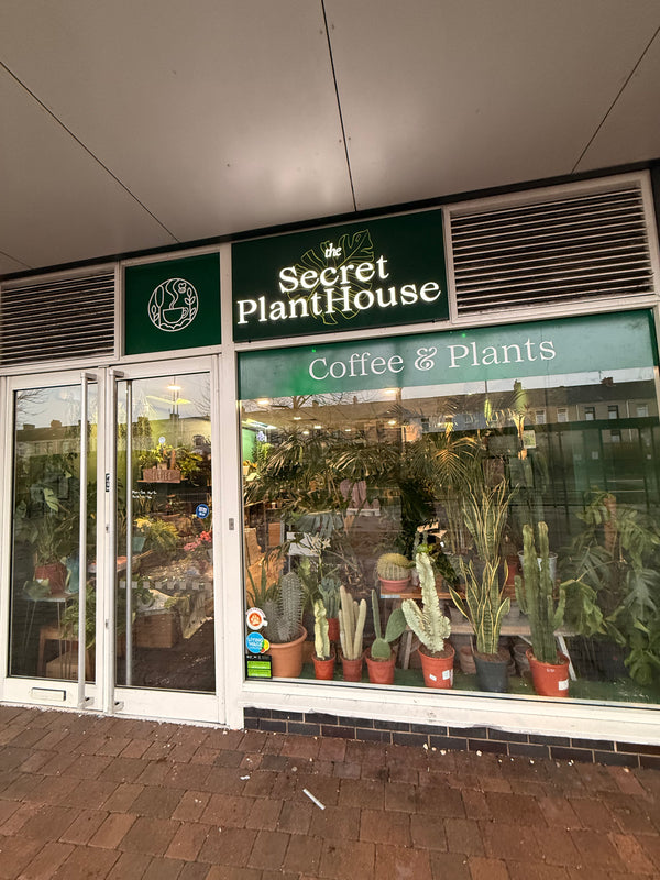 Llanelli - Plants & Espresso Bar