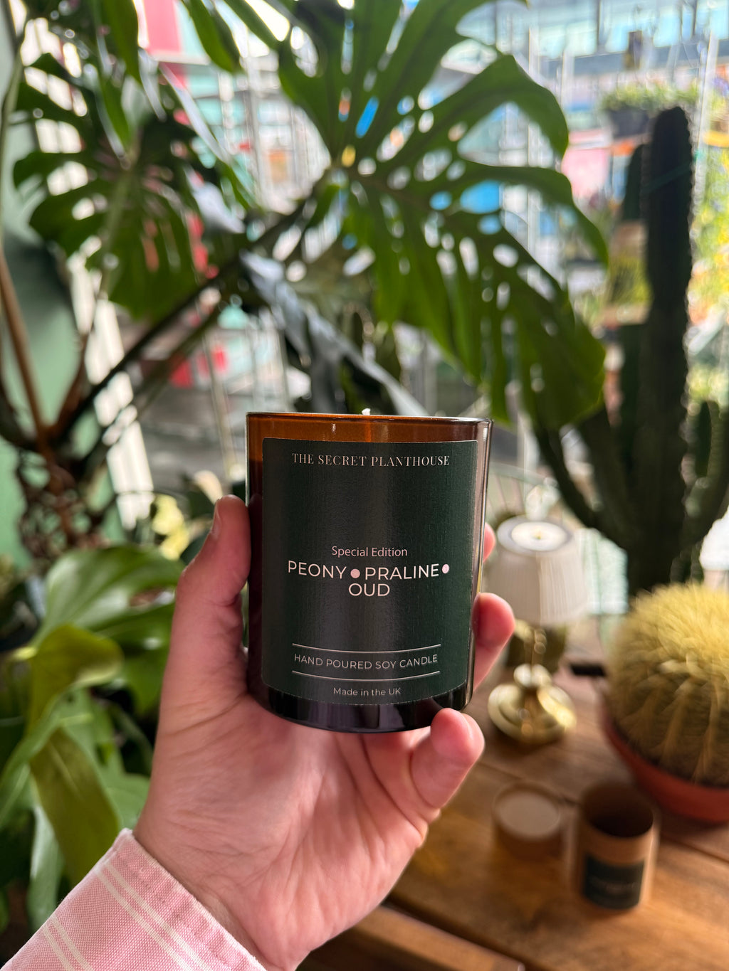 The Secret PlantHouse Candles