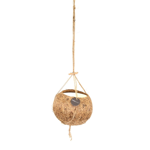 Hanging Coconut Shell Pot